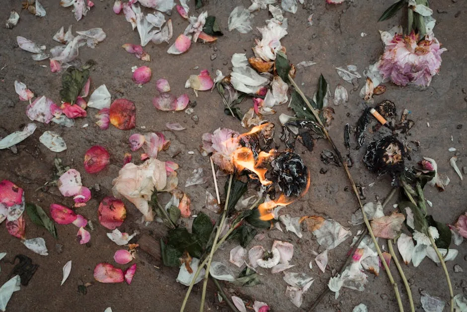 A Burning Flowers on the Ground