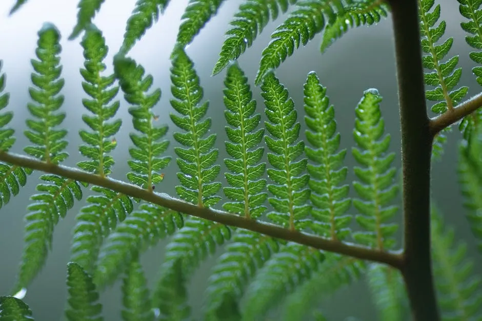 Close-Up Photo of Green Leaves
