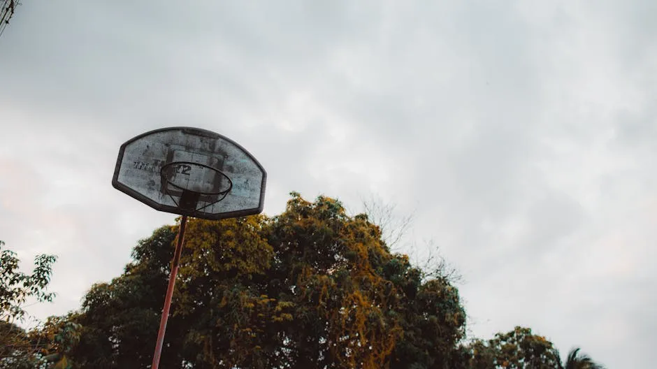 Basketball Hoop