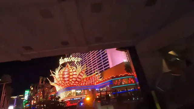 Horizontal video: Flamingo las vegas 27010810. Duration: 5 seconds. Resolution: 2704x1520