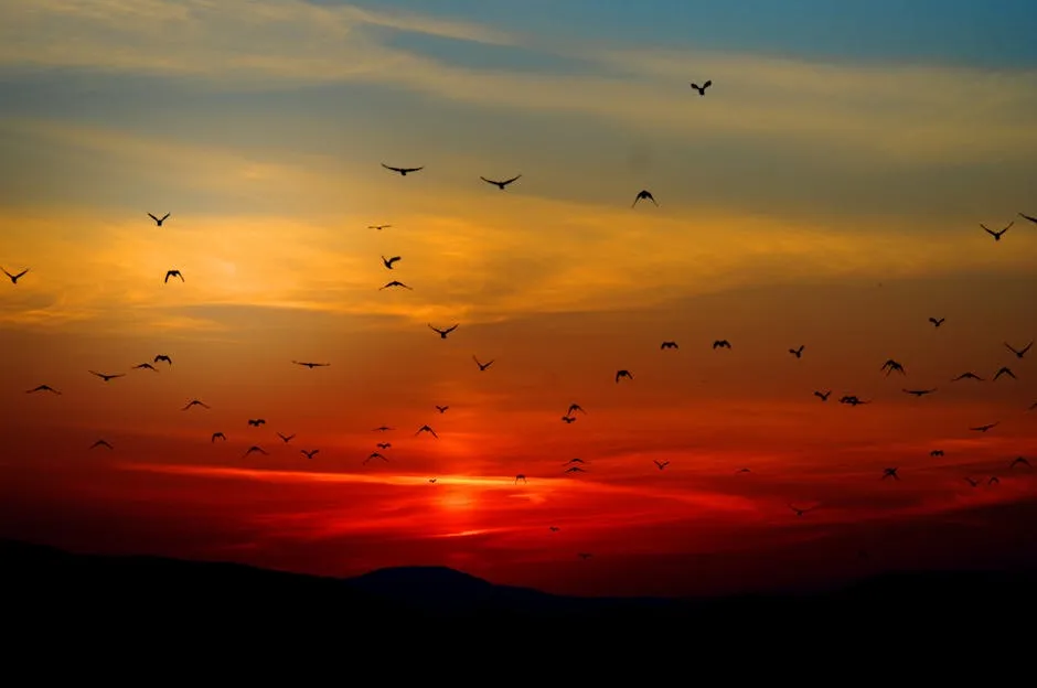 Flock of Birds Flying Above the Mountain during Sunset