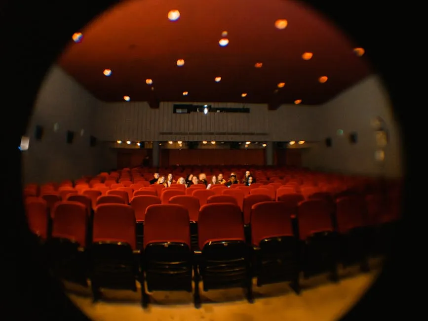 People Sitting Inside the Movie Theater