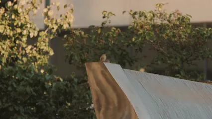 Horizontal video: Couple of sparrows next to water fountain 5514367. Duration: 28 seconds. Resolution: 3840x2160