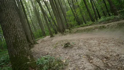 Horizontal video: A cyclist biking at a track in the woods 8926428. Duration: 17 seconds. Resolution: 3840x2160