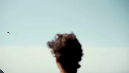 Horizontal video: A man watching sea birds flying at the beach 8906104. Duration: 17 seconds. Resolution: 1920x1080