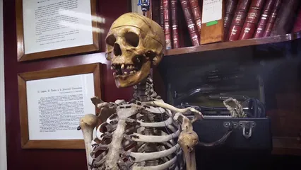 Horizontal video: A footage of a skeleton 5762549. Duration: 10 seconds. Resolution: 1920x1080