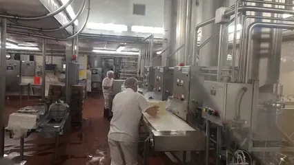 Horizontal video: Workers packing cheese in a factory 5801409. Duration: 13 seconds. Resolution: 1280x720