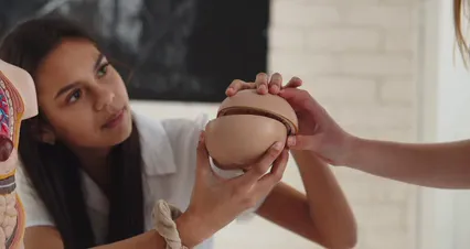 Horizontal video: A woman holding an anatomical model of a human head 8108914. Duration: 8 seconds. Resolution: 4096x2160