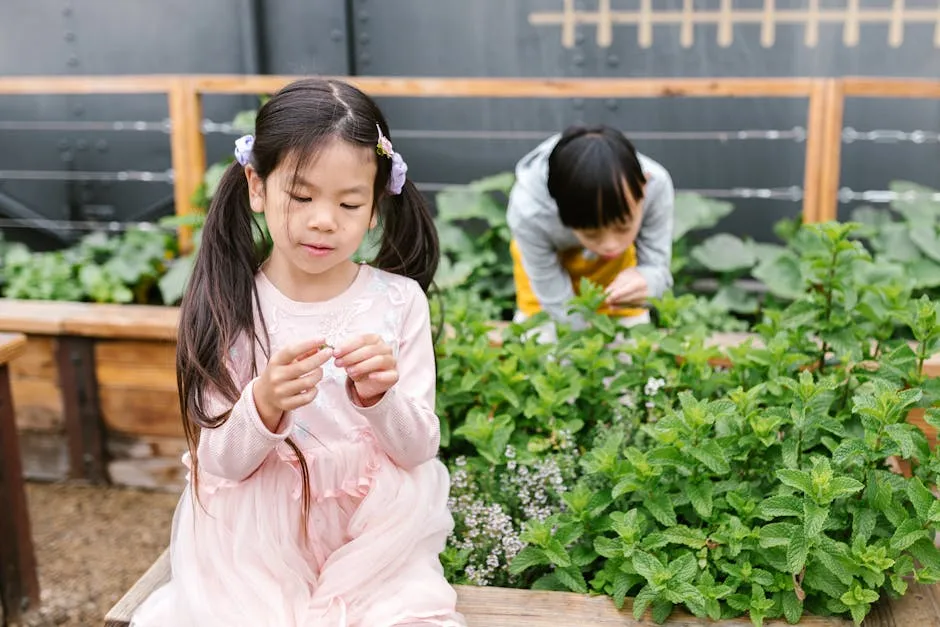 Free stock photo of activity, adhd, asian