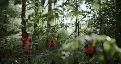 Horizontal video: People working together 10366111. Duration: 24 seconds. Resolution: 4096x2160