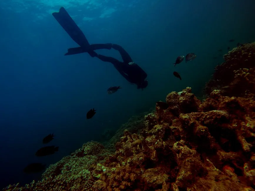 Photography of Person Swimming Under Water