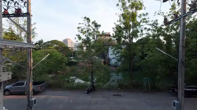 Horizontal video: Quiet urban street in daylight with trees 28913143. Duration: 65 seconds. Resolution: 3840x2160