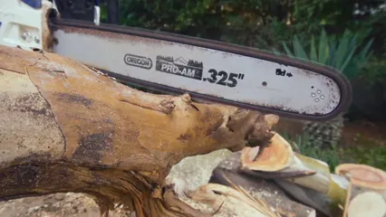 Horizontal video: Person cutting the tree using chainsaw 6168861. Duration: 25 seconds. Resolution: 1920x1080