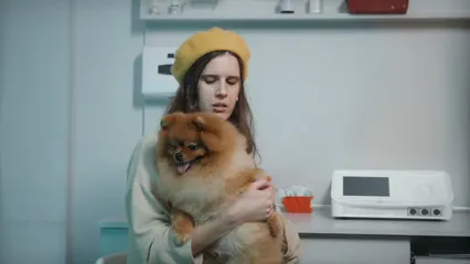 Horizontal video: Woman holding dog 6236754. Duration: 18 seconds. Resolution: 3840x2160