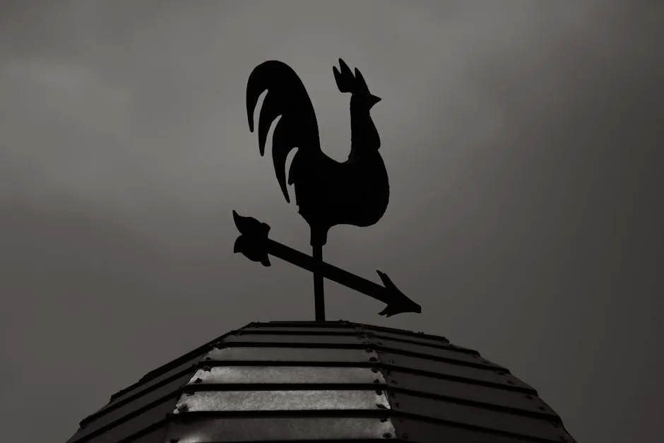 Monochrome Shot of a Rooster Weather Vane