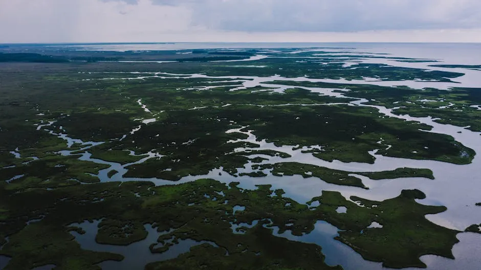Aerial View of Backwaters among Green Fields