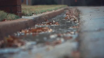 Horizontal video: Water flowing on roadside with fallen maple leaves 3065728. Duration: 19 seconds. Resolution: 1920x1080
