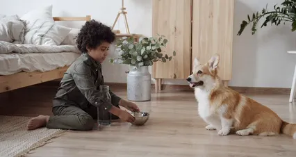 Horizontal video: A boy giving water to his dog 5263065. Duration: 19 seconds. Resolution: 4096x2160
