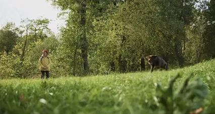 Horizontal video: Boy playing fetch with a dog 6133553. Duration: 26 seconds. Resolution: 4096x2160
