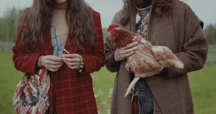 Horizontal video: Two people holding a rooster and a flower 10641868. Duration: 23 seconds. Resolution: 4096x2160