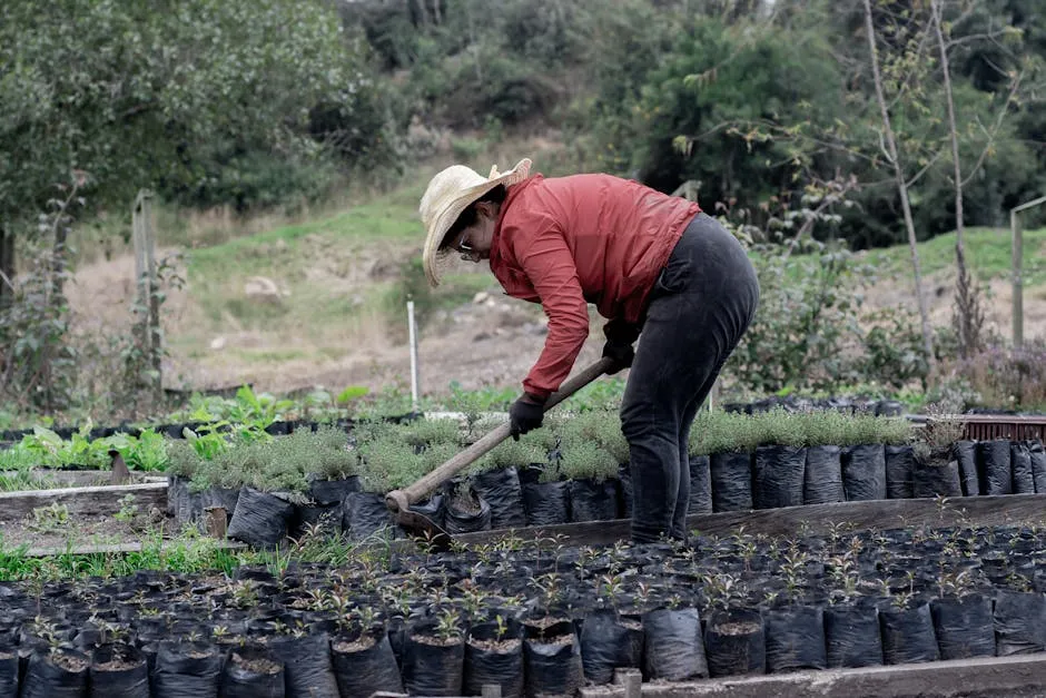A Woman Working in a Garden