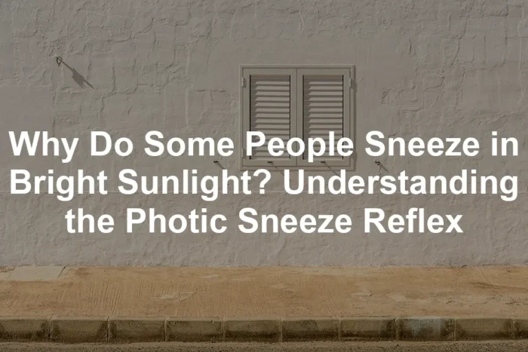 Featured image for Why Do Some People Sneeze in Bright Sunlight? Understanding the Photic Sneeze Reflex