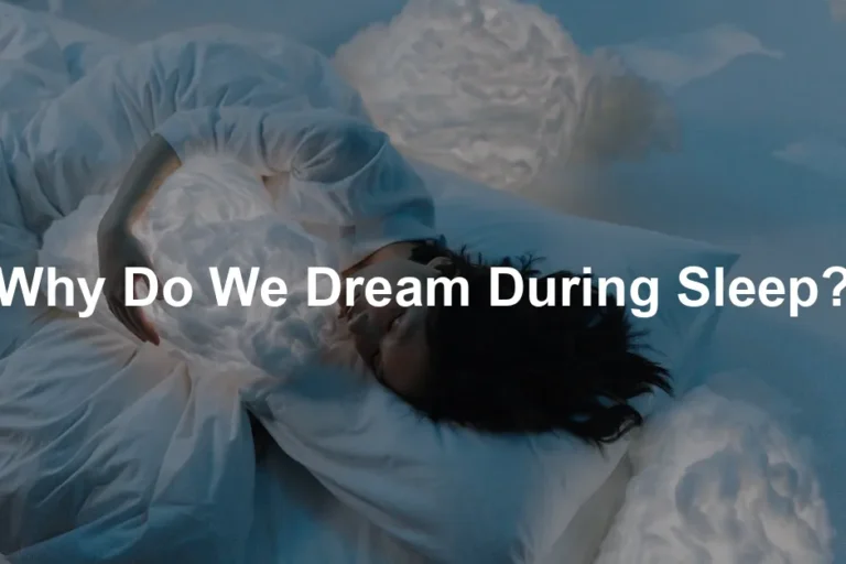 Featured image for Why Do We Dream During Sleep?