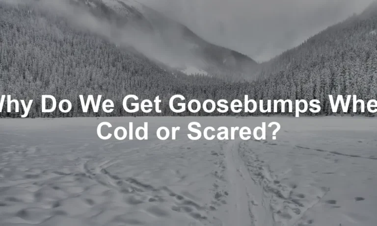 Featured image for Why Do We Get Goosebumps When Cold or Scared?