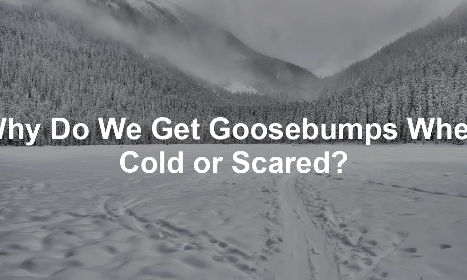Featured image for Why Do We Get Goosebumps When Cold or Scared?