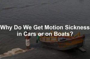 Featured image for Why Do We Get Motion Sickness in Cars or on Boats?