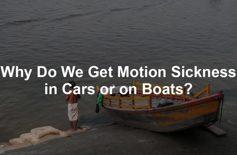 Featured image for Why Do We Get Motion Sickness in Cars or on Boats?