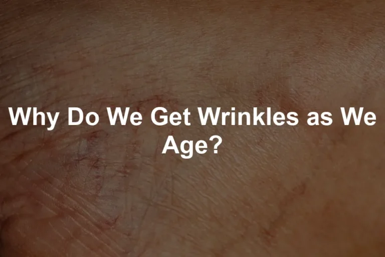 Featured image for Why Do We Get Wrinkles as We Age?