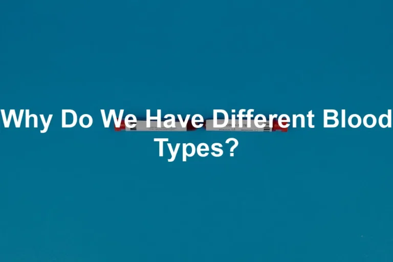 Featured image for Why Do We Have Different Blood Types?