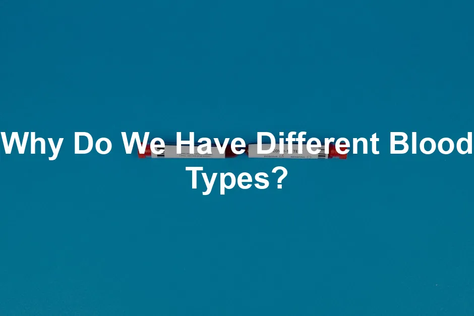 Featured image for Why Do We Have Different Blood Types?