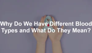 Featured image for Why Do We Have Different Blood Types and What Do They Mean?