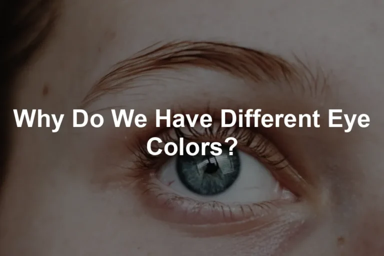 Featured image for Why Do We Have Different Eye Colors?