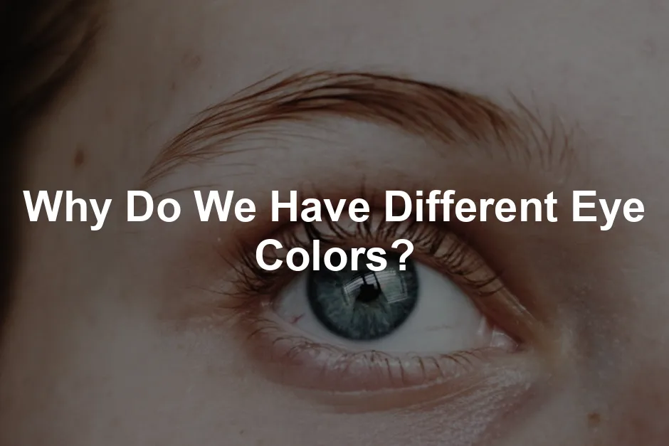 Featured image for Why Do We Have Different Eye Colors?