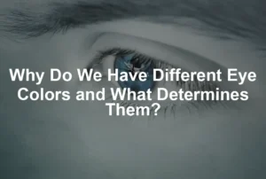 Featured image for Why Do We Have Different Eye Colors and What Determines Them?