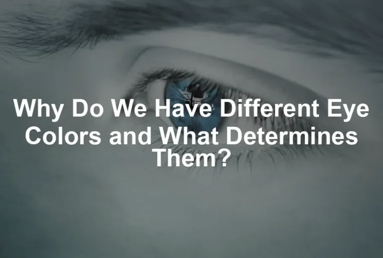 Featured image for Why Do We Have Different Eye Colors and What Determines Them?