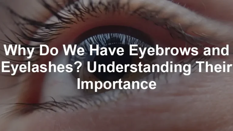 Featured image for Why Do We Have Eyebrows and Eyelashes? Understanding Their Importance