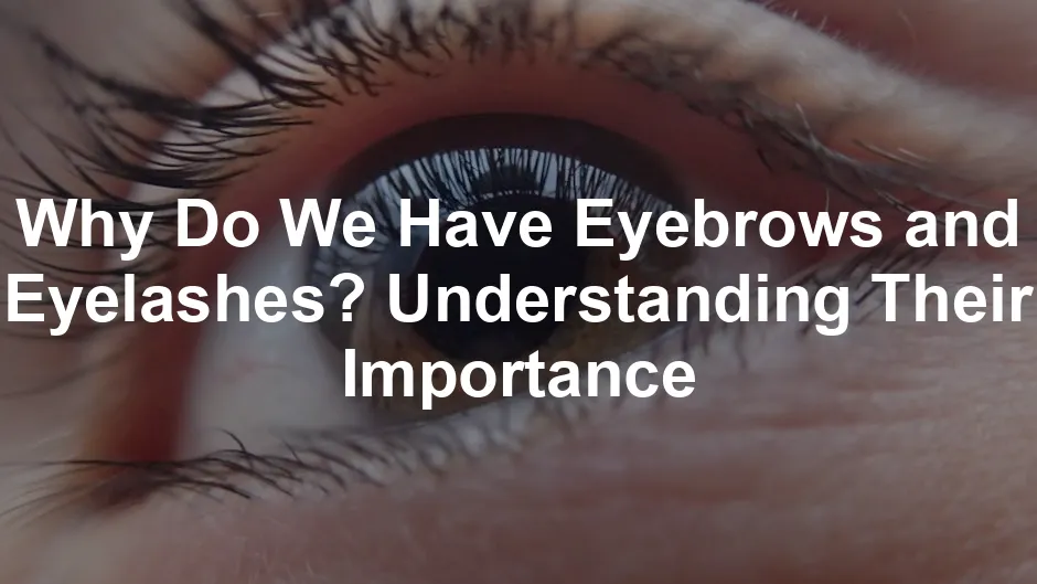 Featured image for Why Do We Have Eyebrows and Eyelashes? Understanding Their Importance