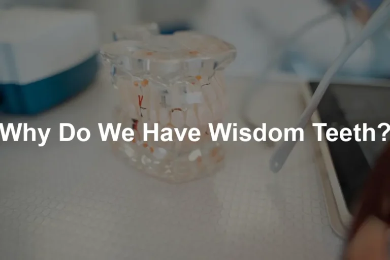 Featured image for Why Do We Have Wisdom Teeth?