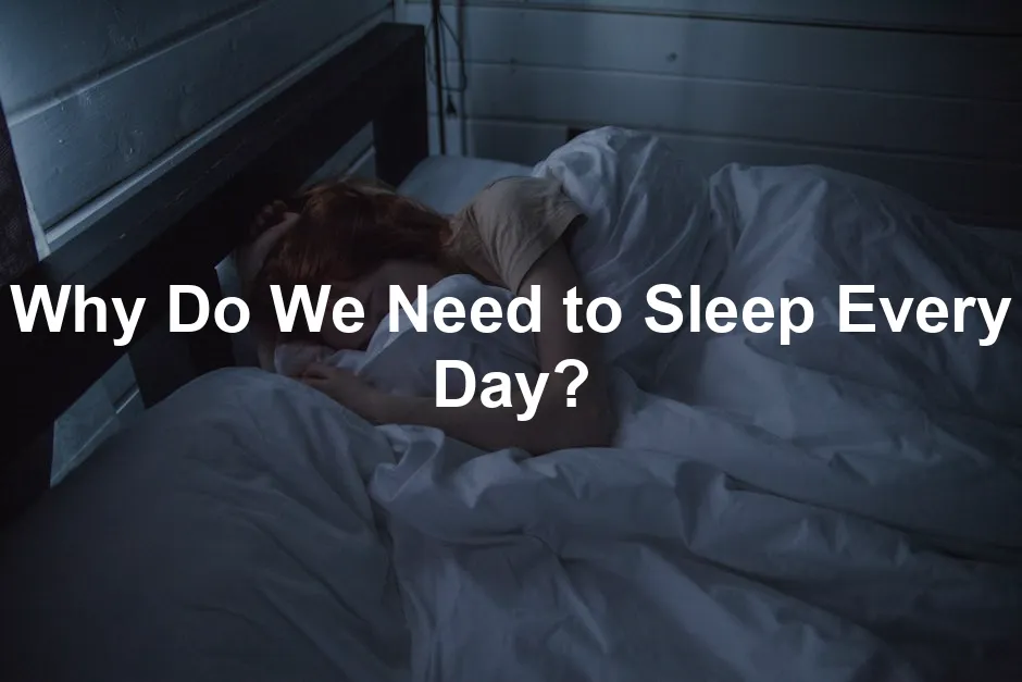 Featured image for Why Do We Need to Sleep Every Day?