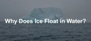 Featured image for Why Does Ice Float in Water?