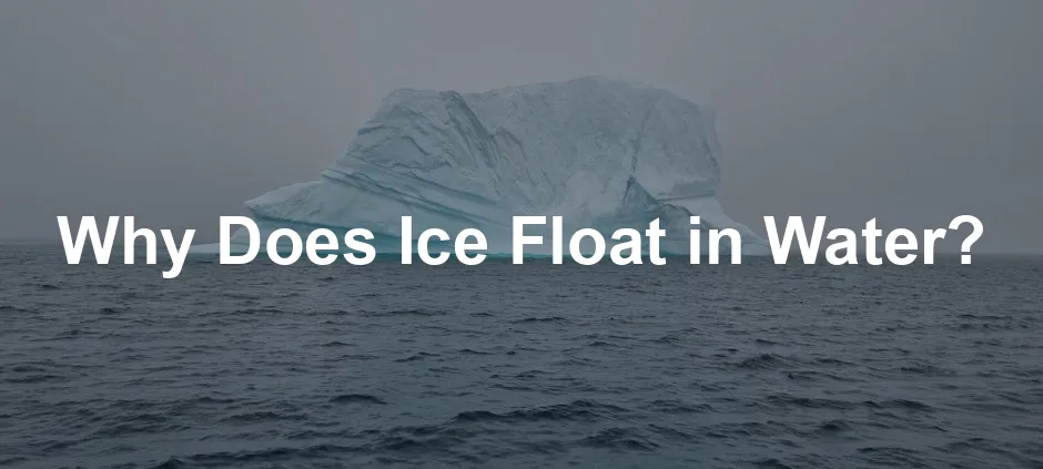 Featured image for Why Does Ice Float in Water?