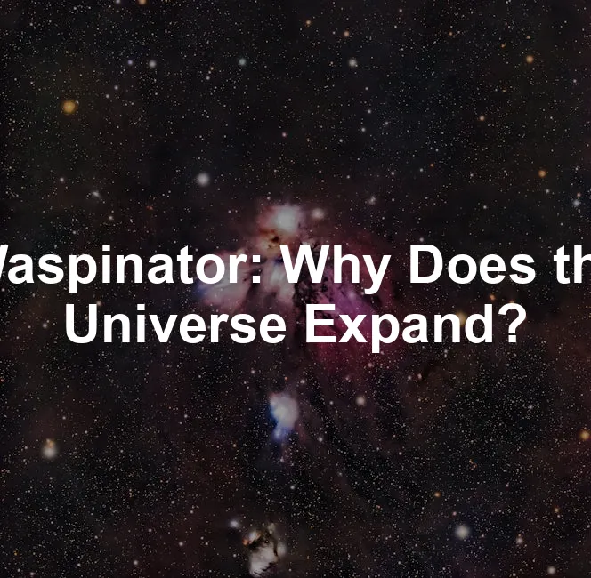 Featured image for Waspinator: Why Does the Universe Expand?