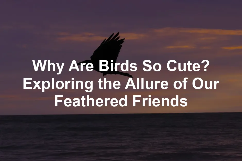 Featured image for Why Are Birds So Cute? Exploring the Allure of Our Feathered Friends