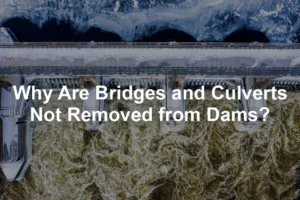 Featured image for Why Are Bridges and Culverts Not Removed from Dams?