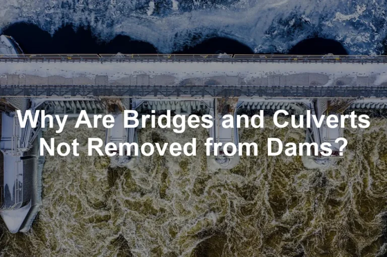 Featured image for Why Are Bridges and Culverts Not Removed from Dams?