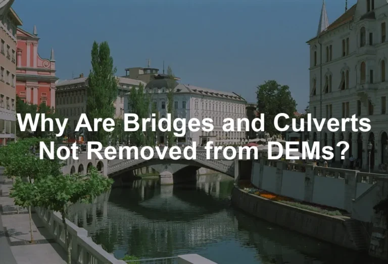 Featured image for Why Are Bridges and Culverts Not Removed from DEMs?